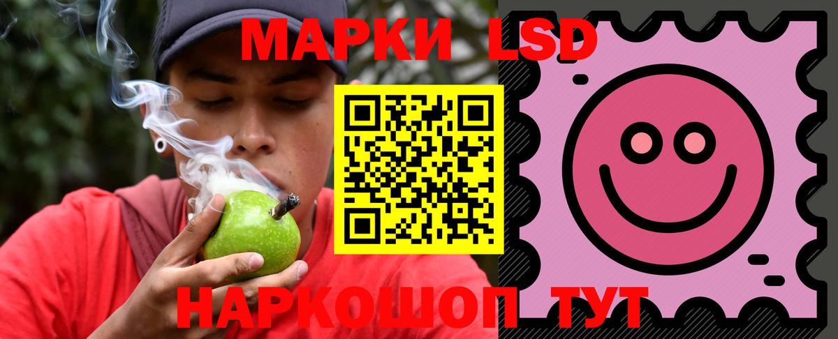 Кузнецк  Лсд 25 экстази  Вход с VPN  ЛСД экстази ecstasy  ЛСД экстази кислота 