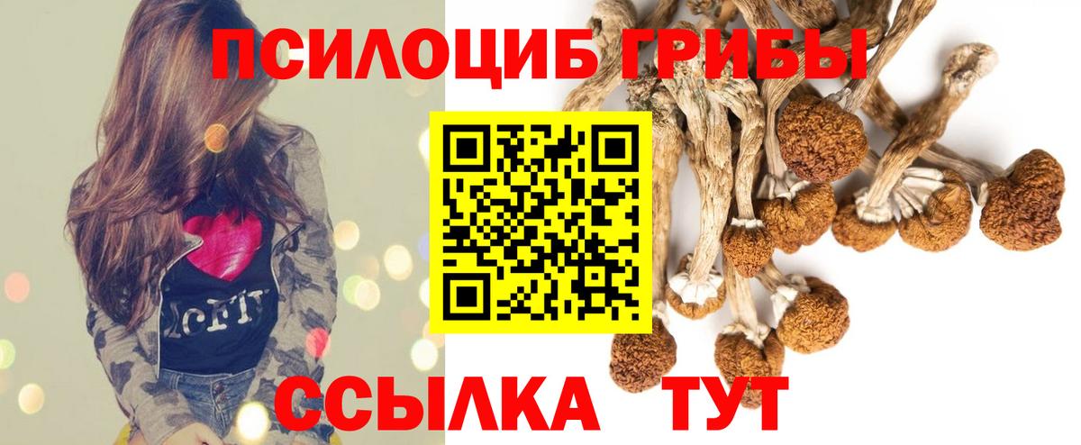 Галлюциногенные грибы MAGIC MUSHROOMS Кузнецк