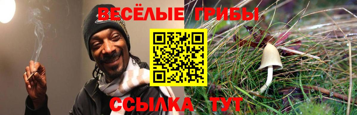 ГАШИШ Кузнецк